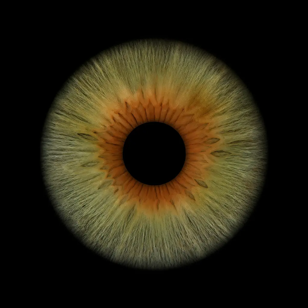 Rendered green-grey iris artwork on black